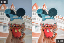 Load image into Gallery viewer, 10 WONDERLAND MOBILE LIGHTROOM PRESETS